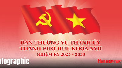 フエ市党委員会常任委員名簿、第17期