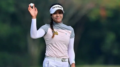 ロッテチャンピオンシップ2025に出場するトップ女子ゴルファー