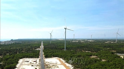 Centrul Central pentru Energie Curată - Partea 1: Soarele și vântul se transformă în oportunități