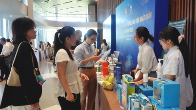 Danang tot een toonaangevend handels- en exportcentrum maken