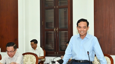 Secrétaire Tran Luu Quang : Promouvoir la transformation numérique pour faire fonctionner un gouvernement local à deux niveaux