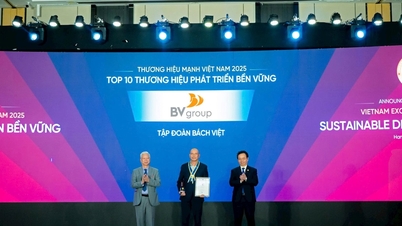 BV Group was honored in the Top 10 Sustainable Development Brands 2025