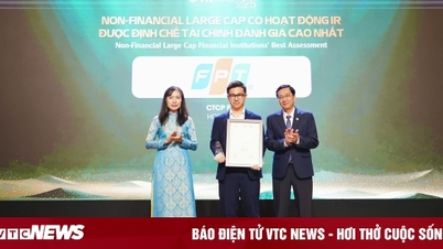 FPT បន្តឈ្នះពានរង្វាន់ IR ពីរដង