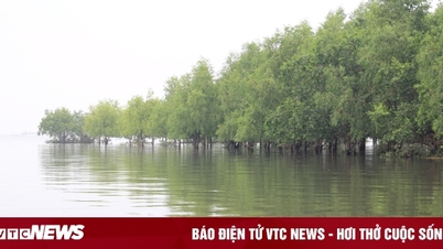Hung Yen ឈោងទៅមហាសមុទ្រដើម្បី 'ហោះឡើង' ក្នុងយុគសម័យនៃការរីកចម្រើនរបស់ប្រទេស