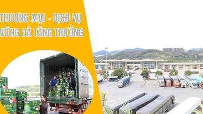 Trade and services grow steadily