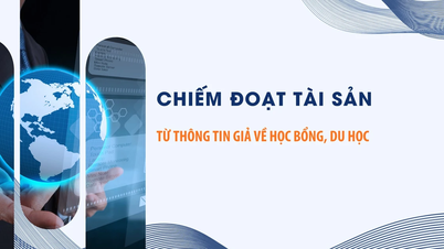 [Video] Chiếm đoạt tài sản từ thông tin giả về học bổng, du học
