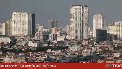 하노이는 토지를 활용하지 않은 위반 사례 17건을 공개적으로 발표했습니다.