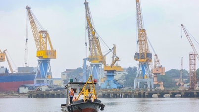 অস্বাভাবিক বন্যার ঝুঁকি, ভিয়েতনাম সমুদ্র ও জলপথ প্রশাসন জরুরিভাবে সতর্ক করেছে