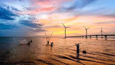 Profiteren van de ontwikkeling van hernieuwbare energie