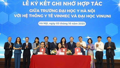 Kerjasama untuk mewujudkan ekosistem bertaraf antarabangsa di Vietnam