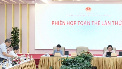Hoàn thiện Luật Bảo hiểm tiền gửi: Bảo vệ người gửi tiền, giữ an toàn hệ thống