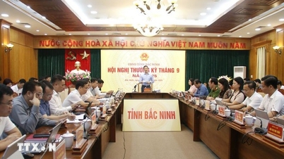 Bac Ninh ដឹកនាំប្រទេសក្នុងការទាក់ទាញទុន FDI ។