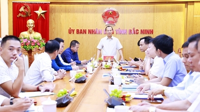 Bac Ninh ចាត់ទុកកិច្ចសហប្រតិបត្តិការជាយុទ្ធសាស្ត្រដើម្បីអភិវឌ្ឍហេដ្ឋារចនាសម្ព័ន្ធឌីជីថលដែលមានទីតាំងច្បាស់លាស់