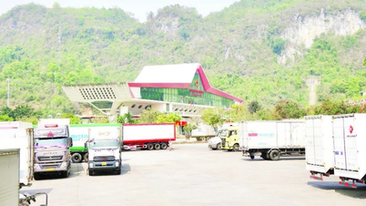 Linh hoạt giải pháp quản lý phương tiện xuất, nhập cảnh