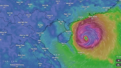 Zwei Szenarien für den Landfall des Sturms Matmo in unserem Land