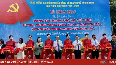Nhìn lại những dấu ấn quan trọng của Đảng bộ TP Hồ Chí Minh nhiệm kỳ 2020-2025