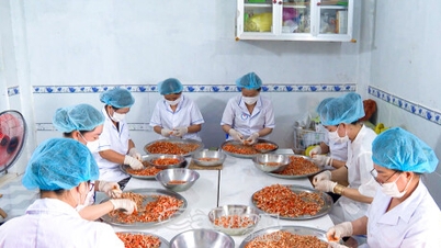 Subjek OCOP sibuk membuat persiapan untuk Pesta Ketam Ca Mau