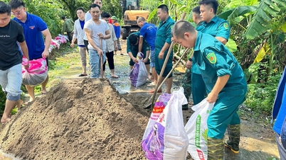 Xã Thanh Trì: Sẵn sàng ứng trực bảo vệ đê điều, công trình phòng chống lũ