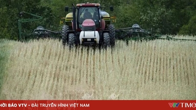 De VS staat op het punt een groot hulppakket aan te kondigen voor boeren die getroffen zijn door de handelsoorlog.