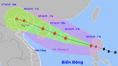 Bão Matmo đi nhanh, rất mạnh trên Biển Đông