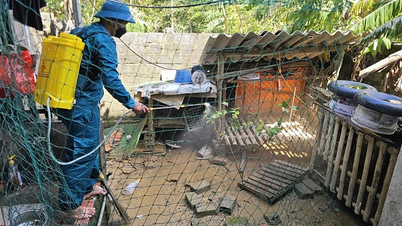 Thanh Hoa: Aktívan megelőzzük és leküzdjük az árvizek utáni járványokat