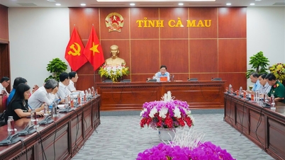 Der stellvertretende Sekretär des Provinzparteikomitees und Vorsitzende des Provinzvolkskomitees, Pham Thanh Ngai, leitete eine Sitzung des Lenkungsausschusses zum Thema Innovation in der Gesetzgebung und -durchsetzung.