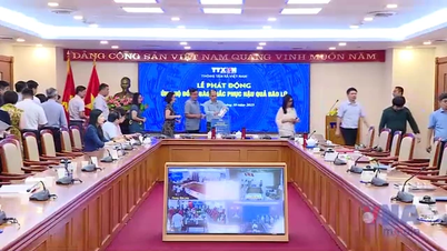 مسؤولون وموظفون وعمال في VNA يتبرعون لدعم الأشخاص في المناطق المتضررة من الفيضانات