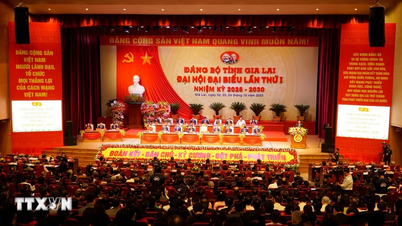 Stellvertretender Generalstabschef Thai Dai Ngoc zum Sekretär des Parteikomitees der Provinz Gia Lai ernannt