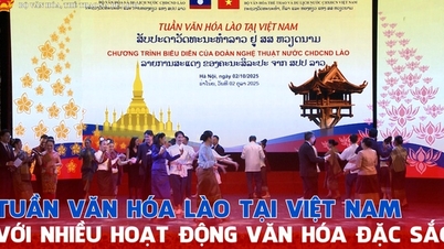 សប្តាហ៍វប្បធម៌ឡាវនៅវៀតណាមជាមួយនឹងសកម្មភាពពិសេសជាច្រើន។