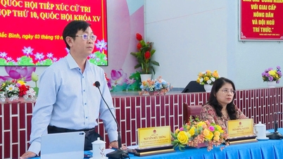 Provincial National Assembly delegation met with voters of Bac Binh commune