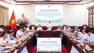 Perfecting Vietnamese law in the new era