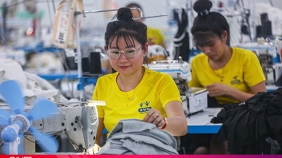 Ministério do Interior propõe aumento do salário mínimo em 7,2% a partir de 2026