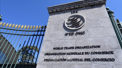 Việt Nam hoàn thành thông báo quy tắc xuất xứ trong khuôn khổ WTO