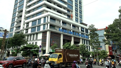 Universiti Vietnam manakah yang mempunyai kedudukan tertinggi dalam kedudukan universiti dunia?
