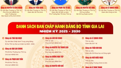 2025-2030년 임기 자르라이성당 집행위원회 명단