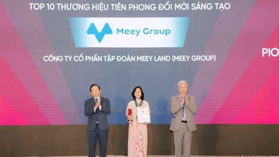 Meey Group in den Top 10 der Pioniermarken registriert: 6 Jahre Positionierung als Innovationsführer