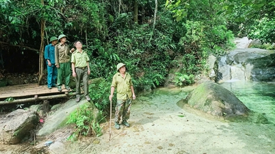Bac Ninh៖ លើកកំពស់ជីវភាព លើកកំពស់ការយល់ដឹងអំពីការការពារព្រៃឈើ