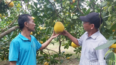 ឃុំតាន់ឡាក់៖ ចលនាត្រាប់តាមស្នេហាជាតិរីកចំរើន