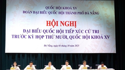 Cử tri Đà Nẵng kiến nghị nhiều vấn đề dân sinh bức thiết