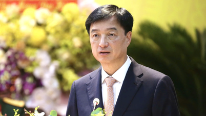 타이빈의 강점을 결합하여 흥옌을 종합적으로 개발