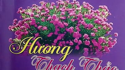 Gửi chút hương thu trong nắng mới đang về