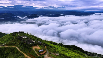 Phinh Ho wekt het potentieel van de hooglanden