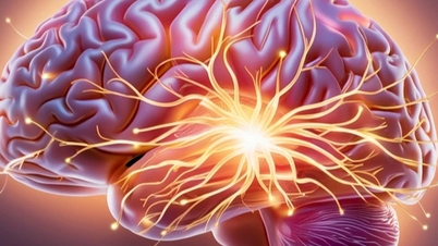 Specjalne aktywności, które pomogą zachować młodość mózgu