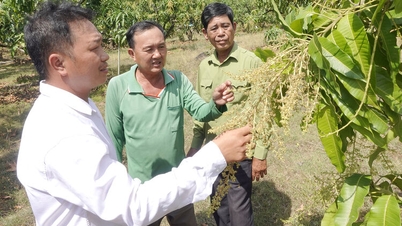 Dari parit ke ladang