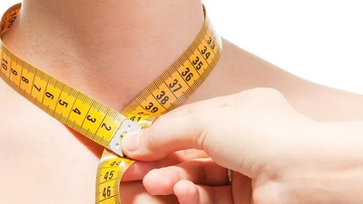 Tamanho do colar: O 'sinal silencioso' que revela a saúde do coração.