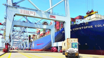 Nowe Ho Chi Minh City: Rozwój portów morskich w międzynarodowe centra morskie (Ostatni artykuł)