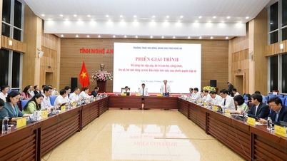 Phiên giải trình về công tác sắp xếp, bố trí cán bộ, công chức, trụ sở, tài sản công và các điều kiện làm việc của chính quyền cấp xã