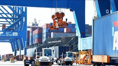 Tillväxt baserad på kompetens snarare än incitament