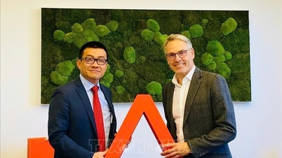 Прокладання шляху для співпраці в сфері трудових відносин та сприяння інвестиціям між В'єтнамом та Австрією