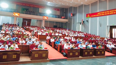 Zusammenfassung des 1. Provinzparteitags von Ca Mau, Amtszeit 2025–2030